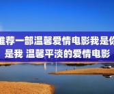 推荐一部温馨爱情电影我是你是我 温馨平淡的爱情电影