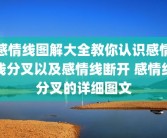 感情线图解大全教你认识感情线分叉以及感情线断开 感情线分叉的详细图文