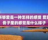 听够爱是一种怎样的感受 爱到骨子里的感觉是什么样子