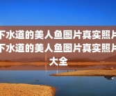 下水道的美人鱼图片真实照片下水道的美人鱼图片真实照片大全