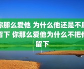 你那么爱他 为什么他还是不愿留下 你那么爱他为什么不把他留下