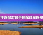 射手座配对射手座配对星座排名