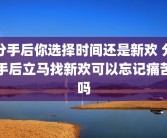 分手后你选择时间还是新欢 分手后立马找新欢可以忘记痛苦吗