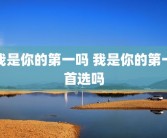 我是你的第一吗 我是你的第一首选吗