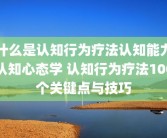 什么是认知行为疗法认知能力认知心态学 认知行为疗法100个关键点与技巧