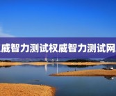 权威智力测试权威智力测试网站