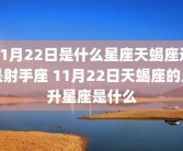 11月22日是什么星座天蝎座还是射手座 11月22日天蝎座的上升星座是什么