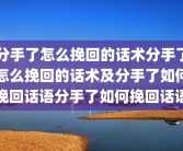 分手了怎么挽回的话术分手了怎么挽回的话术及分手了如何挽回话语分手了如何挽回话语
