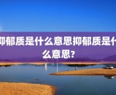 抑郁质是什么意思抑郁质是什么意思?