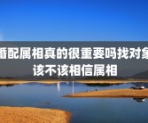 婚配属相真的很重要吗找对象该不该相信属相