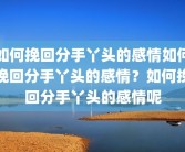 如何挽回分手丫头的感情如何挽回分手丫头的感情？如何挽回分手丫头的感情呢