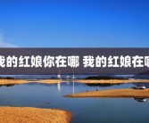 我的红娘你在哪 我的红娘在哪