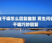 在干嘛怎么回复幽默 男生问你干嘛巧妙回复 