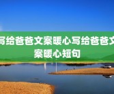 写给爸爸文案暖心写给爸爸文案暖心短句