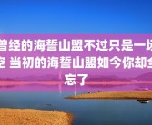 曾经的海誓山盟不过只是一场空 当初的海誓山盟如今你却全忘了