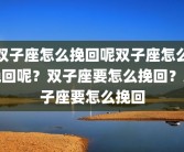 双子座怎么挽回呢双子座怎么挽回呢？双子座要怎么挽回？双子座要怎么挽回