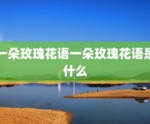 一朵玫瑰花语一朵玫瑰花语是什么