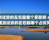 测试你的左右脑哪个更聪明 心理测试你的左右脑哪个占优势
