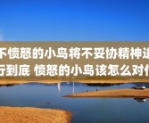 不愤怒的小鸟将不妥协精神进行到底 愤怒的小鸟该怎么对付