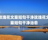 玫瑰花文案短句干净玫瑰花文案短句干净治愈