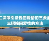 二次吸引法挽回爱情的三要素 三招挽回爱情的方法