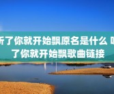 听了你就开始飘原名是什么 听了你就开始飘歌曲链接