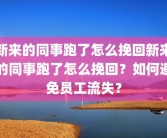新来的同事跑了怎么挽回新来的同事跑了怎么挽回？如何避免员工流失？