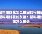 塑料姐妹花怎么挽回如何挽回塑料姐妹花的友谊？塑料姐妹花怎么相处