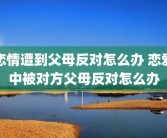 恋情遭到父母反对怎么办 恋爱中被对方父母反对怎么办