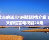 丈夫的谎言电视剧剧情介绍 丈夫的谎言电视剧20集