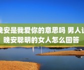 晚安是我爱你的意思吗 男人说晚安聪明的女人怎么回答 