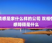 情感是家什么样的公司 双相情感障碍是什么