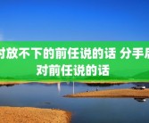 对放不下的前任说的话 分手后对前任说的话 
