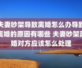 夫妻吵架导致离婚怎么办导致离婚的原因有哪些 夫妻吵架离婚对方应该怎么处理