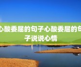 心酸委屈的句子心酸委屈的句子说说心情