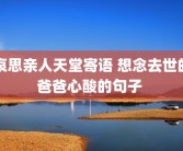 哀思亲人天堂寄语 想念去世的爸爸心酸的句子 