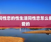同性恋的性生活同性恋怎么做爱的