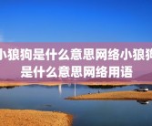 小狼狗是什么意思网络小狼狗是什么意思网络用语