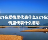 521在爱情里代表什么521在爱情里代表什么意思