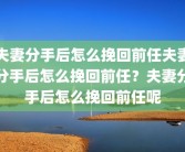 夫妻分手后怎么挽回前任夫妻分手后怎么挽回前任？夫妻分手后怎么挽回前任呢