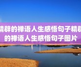 精辟的禅语人生感悟句子精辟的禅语人生感悟句子图片