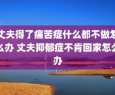 丈夫得了痛苦症什么都不做怎么办 丈夫抑郁症不肯回家怎么办