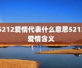 5212爱情代表什么意思5212爱情含义