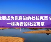 我要成为你身边的杜拉克草 做一株执着的杜拉克草