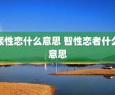 颜性恋什么意思 智性恋者什么意思