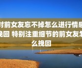 对前女友忘不掉怎么进行情感挽回 特别注重细节的前女友怎么挽回