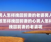 男人怎样挽回前妻的老婆男人该怎样挽回前妻的心男人怎样挽回前妻的老婆呢