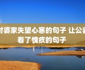 对婆家失望心寒的句子 让公婆看了愧疚的句子 