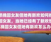想挽回女友但她有新欢如何挽回女友，当她已经有了新欢想挽回女友但她有新欢怎么办