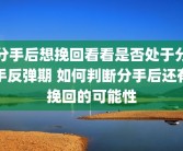 分手后想挽回看看是否处于分手反弹期 如何判断分手后还有挽回的可能性